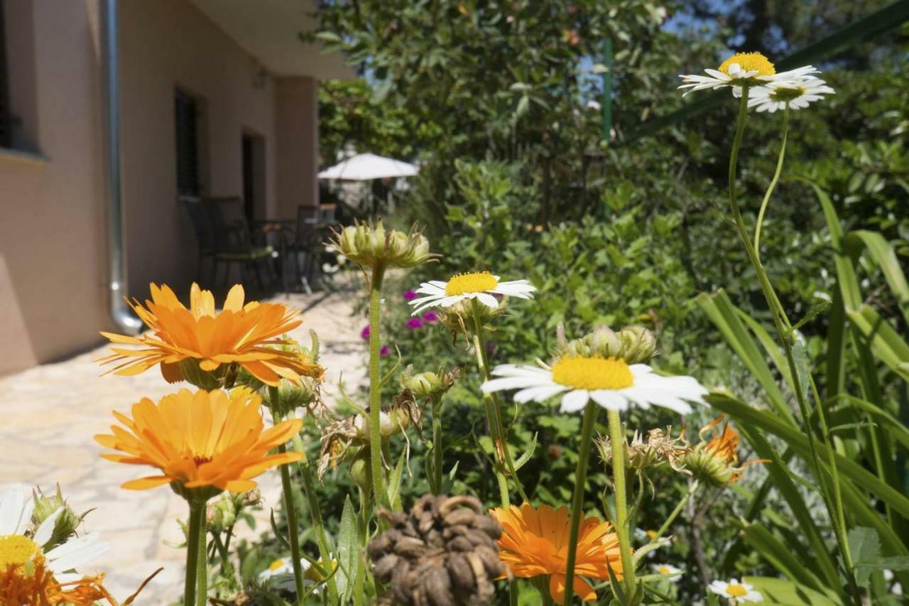 Cvita - Cozy Apartment With An Amazing View Lovran Εξωτερικό φωτογραφία